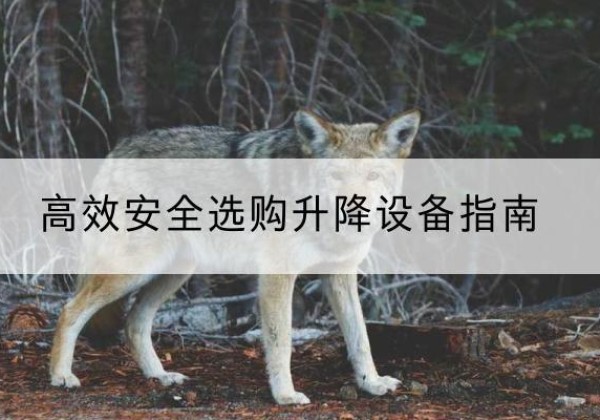 靖安升降货梯厂家推荐-*安全选购升降设备指南