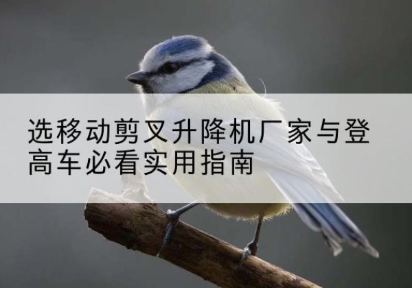 靖安电动升降机厂家-选移动剪叉升降机厂家与登高车必看实用指南
