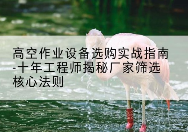 靖安剪叉式升降机厂家-高空作业设备选购实战指南-十年工程师揭秘厂家筛选核心法则