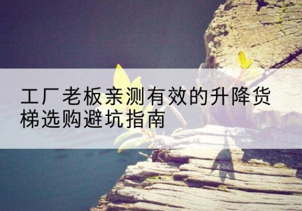 靖安升降货梯怎么选-工厂老板亲测有效的升降货梯选购避坑指南